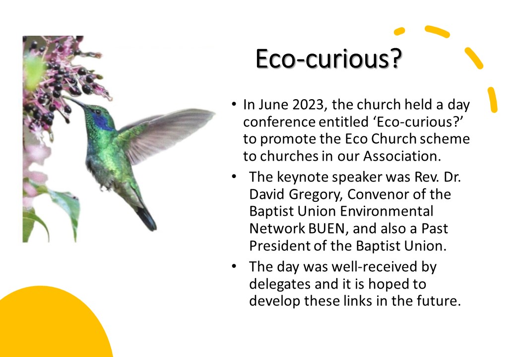EcoCurious Page